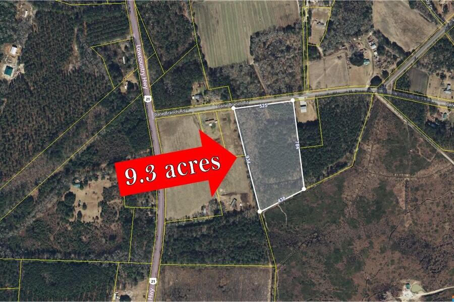 0 Cane Branch Road Ruffin, SC 29475 - Photo 1 of 1 0 Cane Branch Road Aerial
