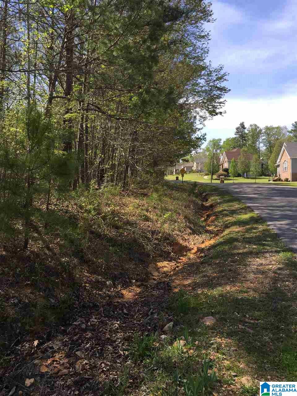 1331 Cedar Creek Road, Unit 4 ACRES Odenville, AL 35120 - Photo 2 of 20