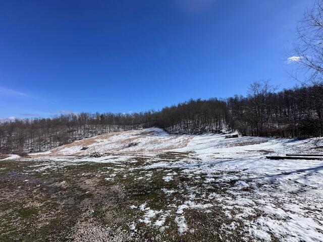7082 Furnace Road Stanton, KY 40380 - Photo 5 of 27 IMG_3003
