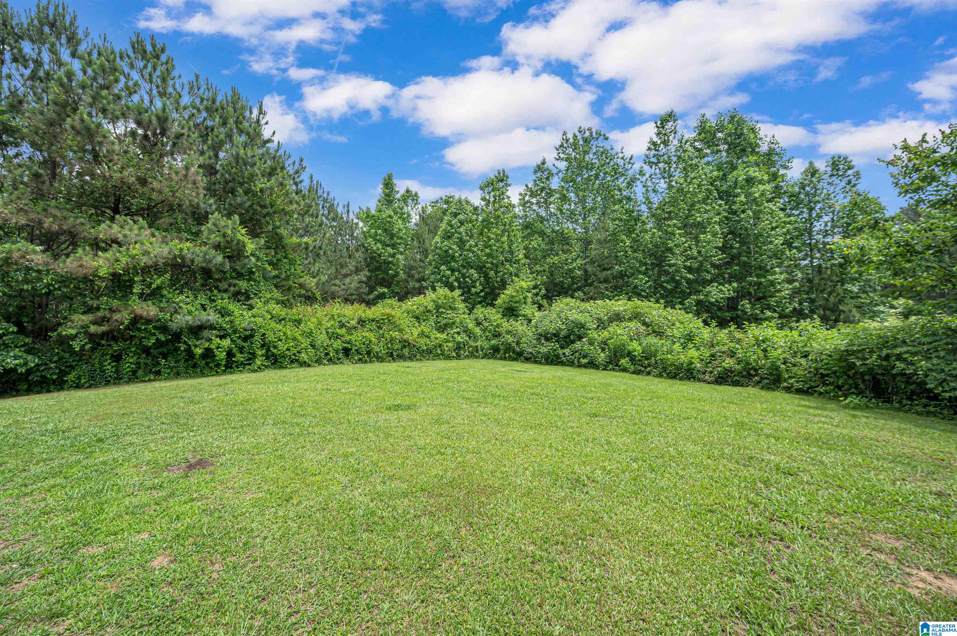 381 Hunters Crossing Road Odenville, AL 35120 - Photo 31 of 48