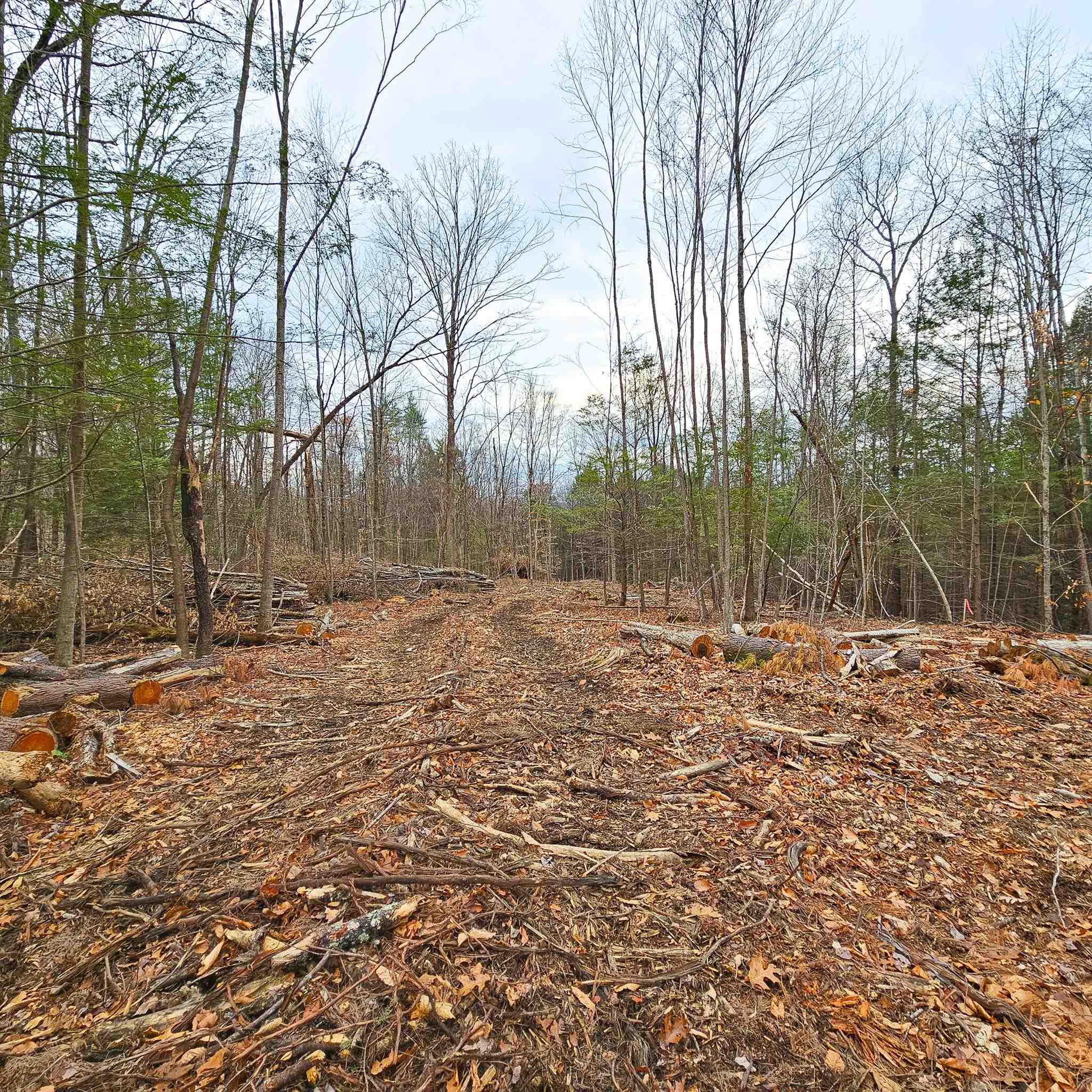 Lot 26-4 Plain Road Hinsdale, NH 03451 - Photo 21 of 28