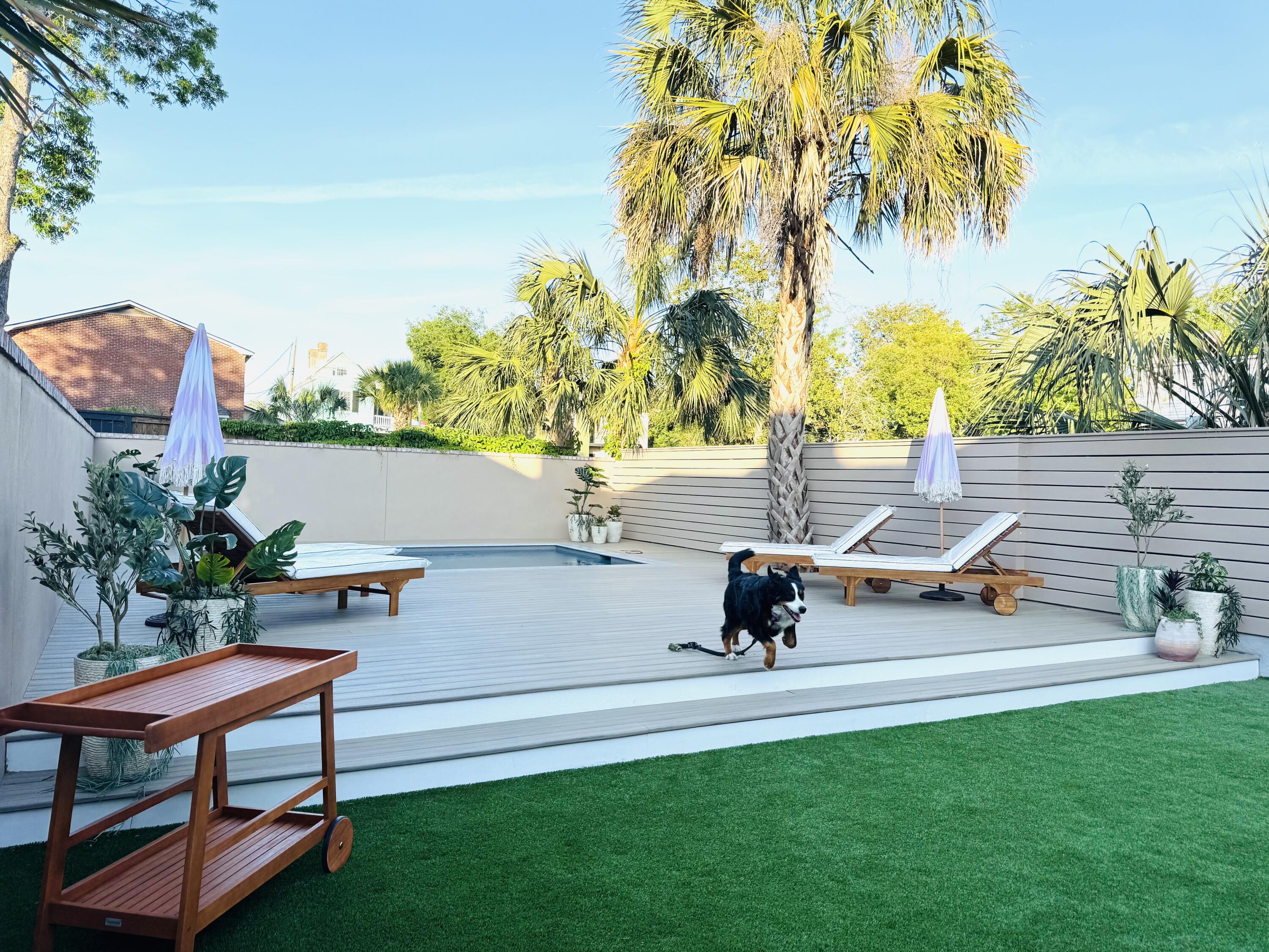 80 Smith Street Charleston, SC 29401 - Photo 10 of 81 IMG_6380