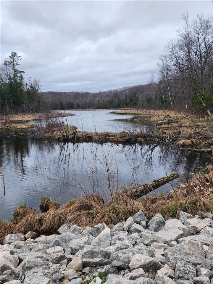 11401 Little George Lake Road Gladwin, MI 48624 - Photo 33 of 72