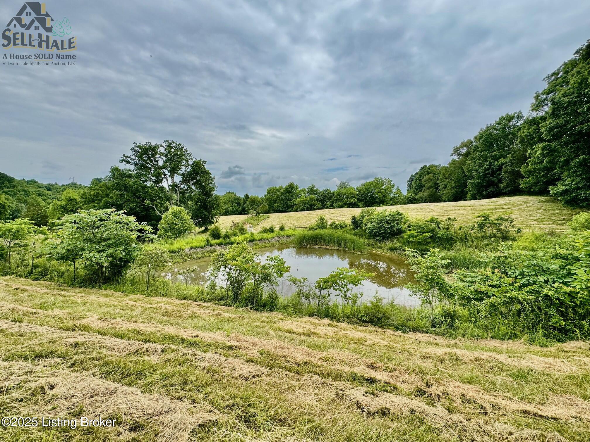 2 Polin Road Willisburg, KY 40078 - Photo 5 of 17 IMG_2880