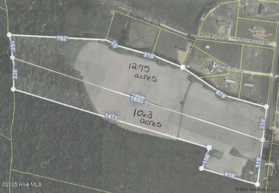 1133 Fussell Road Teachey, NC 28464 - Photo 1 of 1 Aireal view