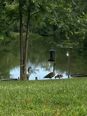 $849,500 | 374 Eagle Lake Road, Coalmont, TN 37313