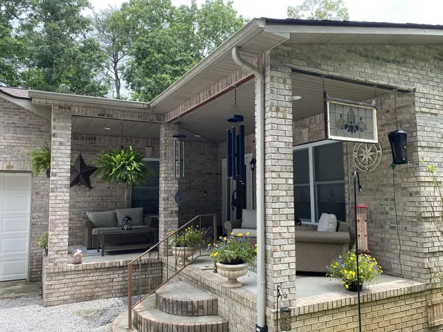 a view of a forest with trees