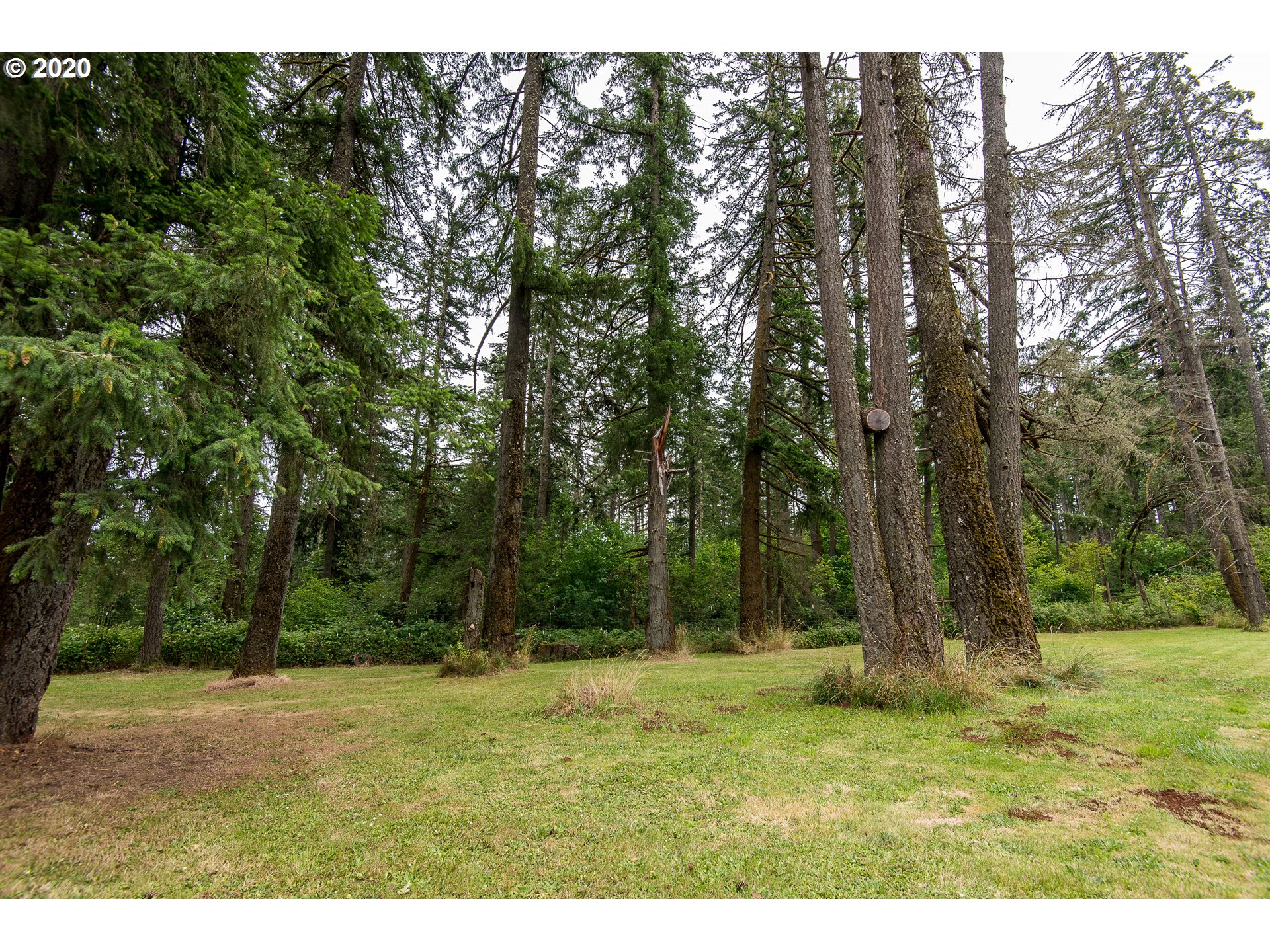 31360 Fox Hollow Road Eugene, OR 97405 - Photo 24 of 31 Gallery Image 24