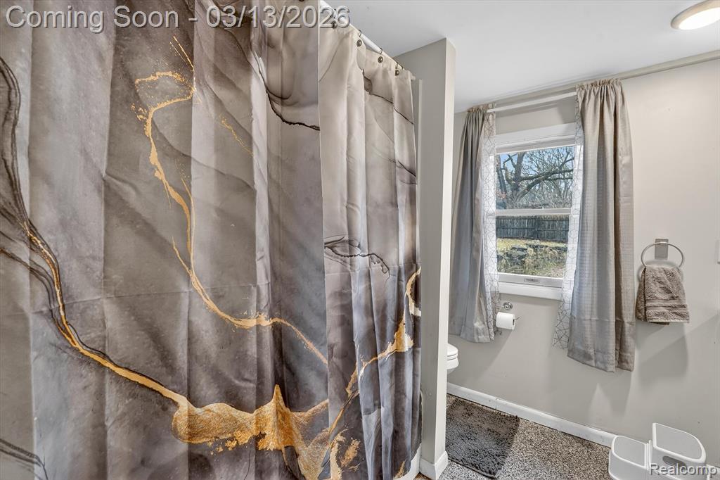 9061 North McKinley Road Flushing, MI 48433 - Photo 33 of 44