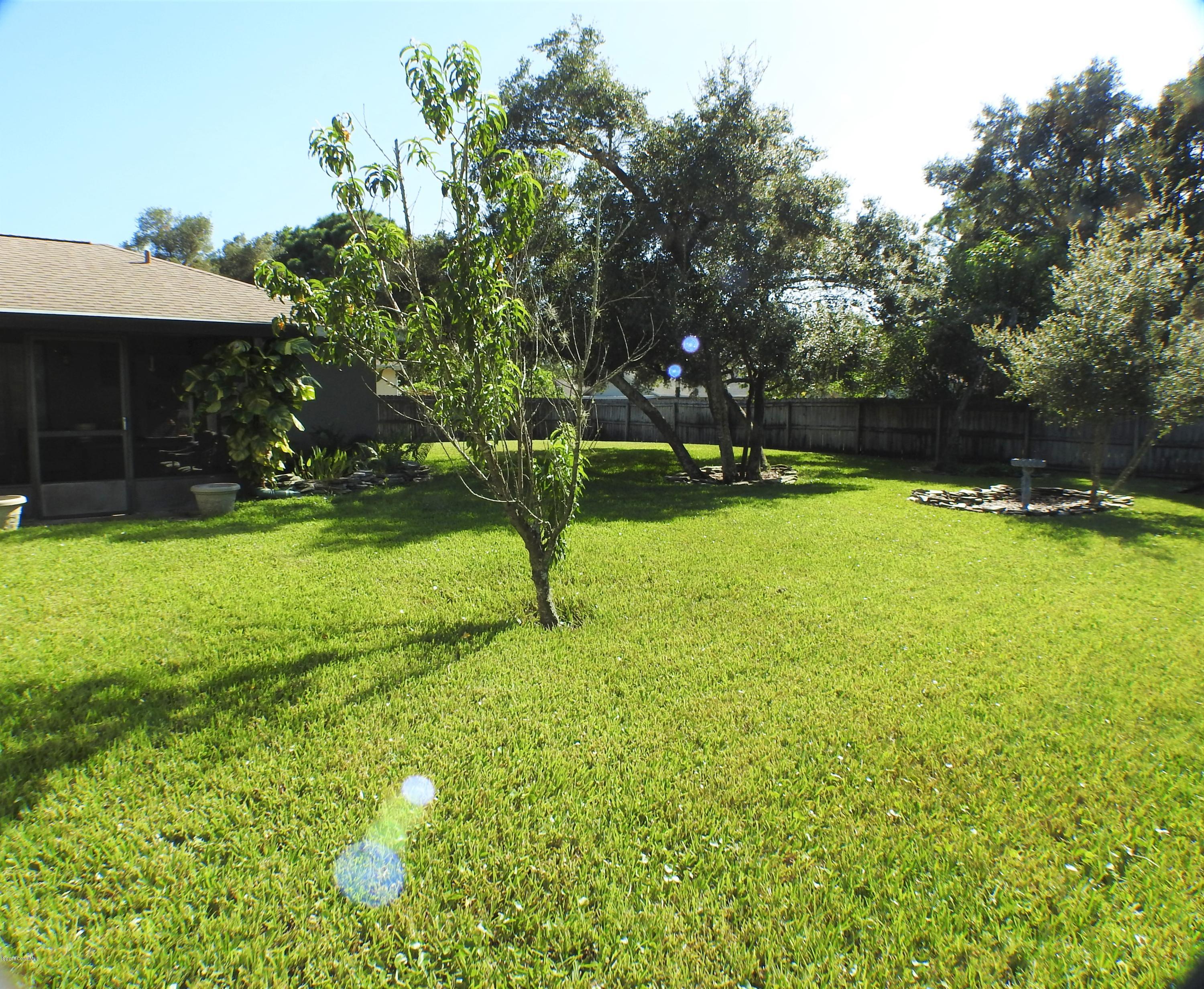 5988 Rena Avenue Cocoa, FL 32927 - Photo 28 of 35 Backyard