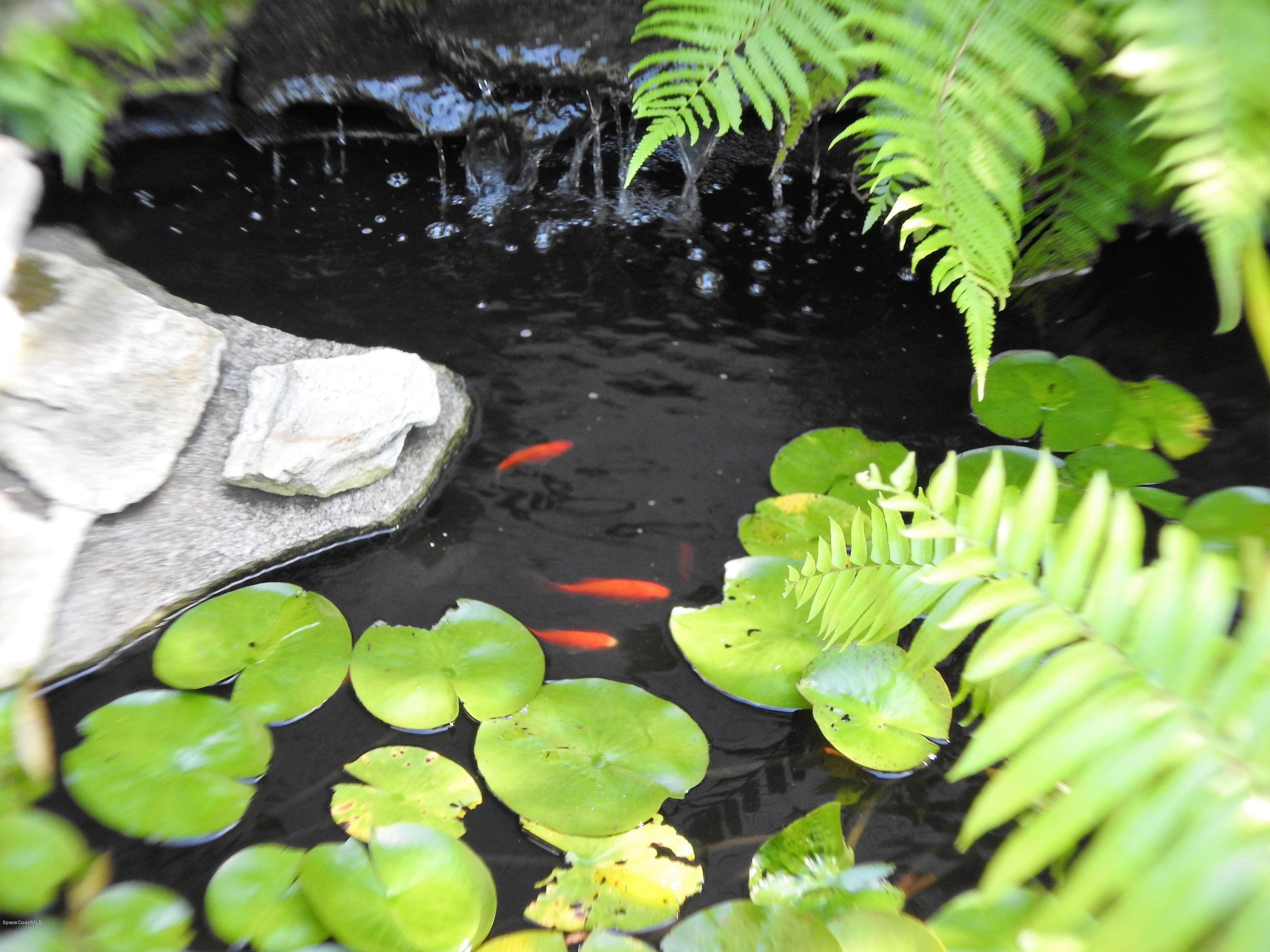 5988 Rena Avenue Cocoa, FL 32927 - Photo 34 of 35 Pond fish