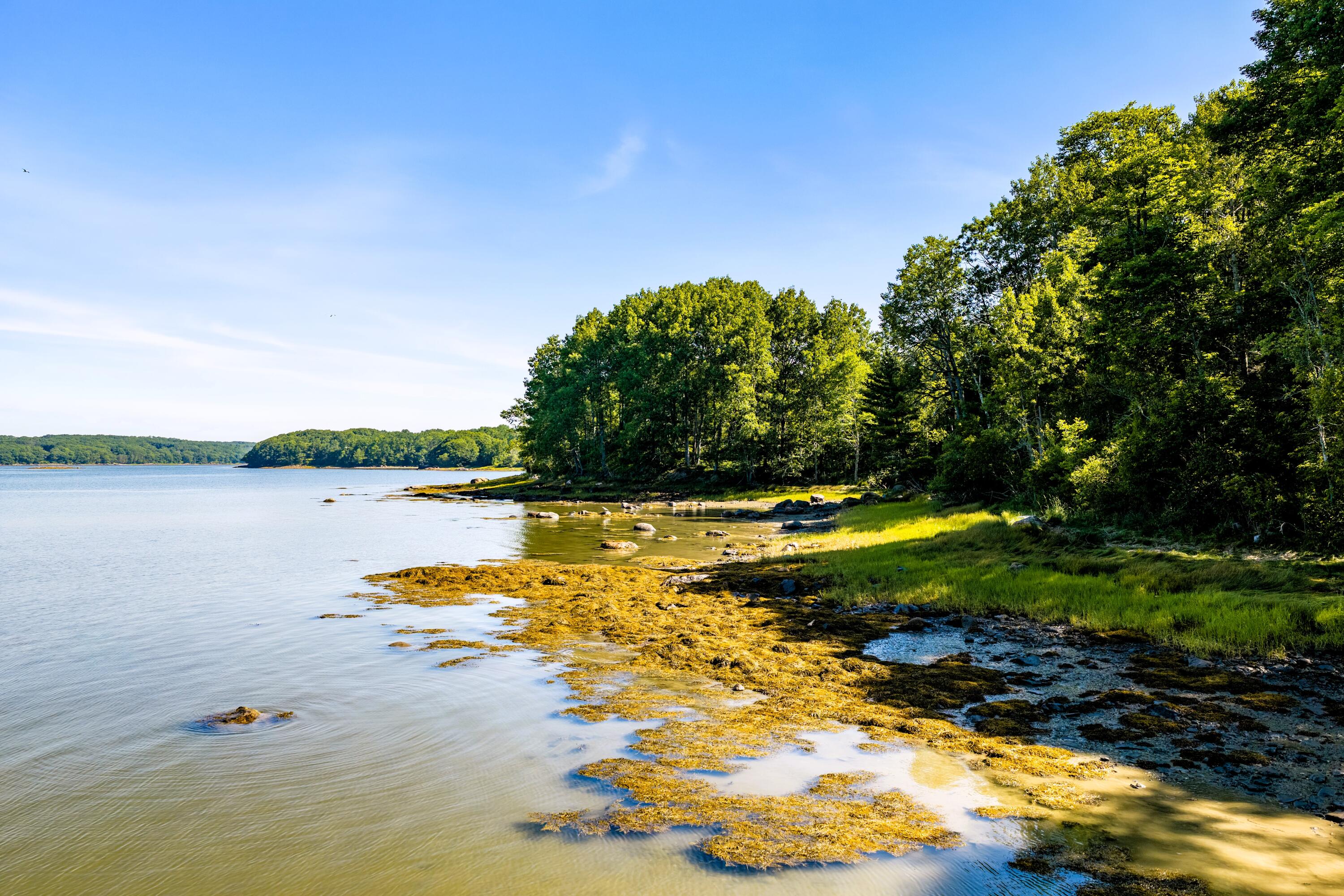 715 St George Road South Thomaston, ME 04858 - Photo 28 of 64 DJI_20260709093217_0108_D
