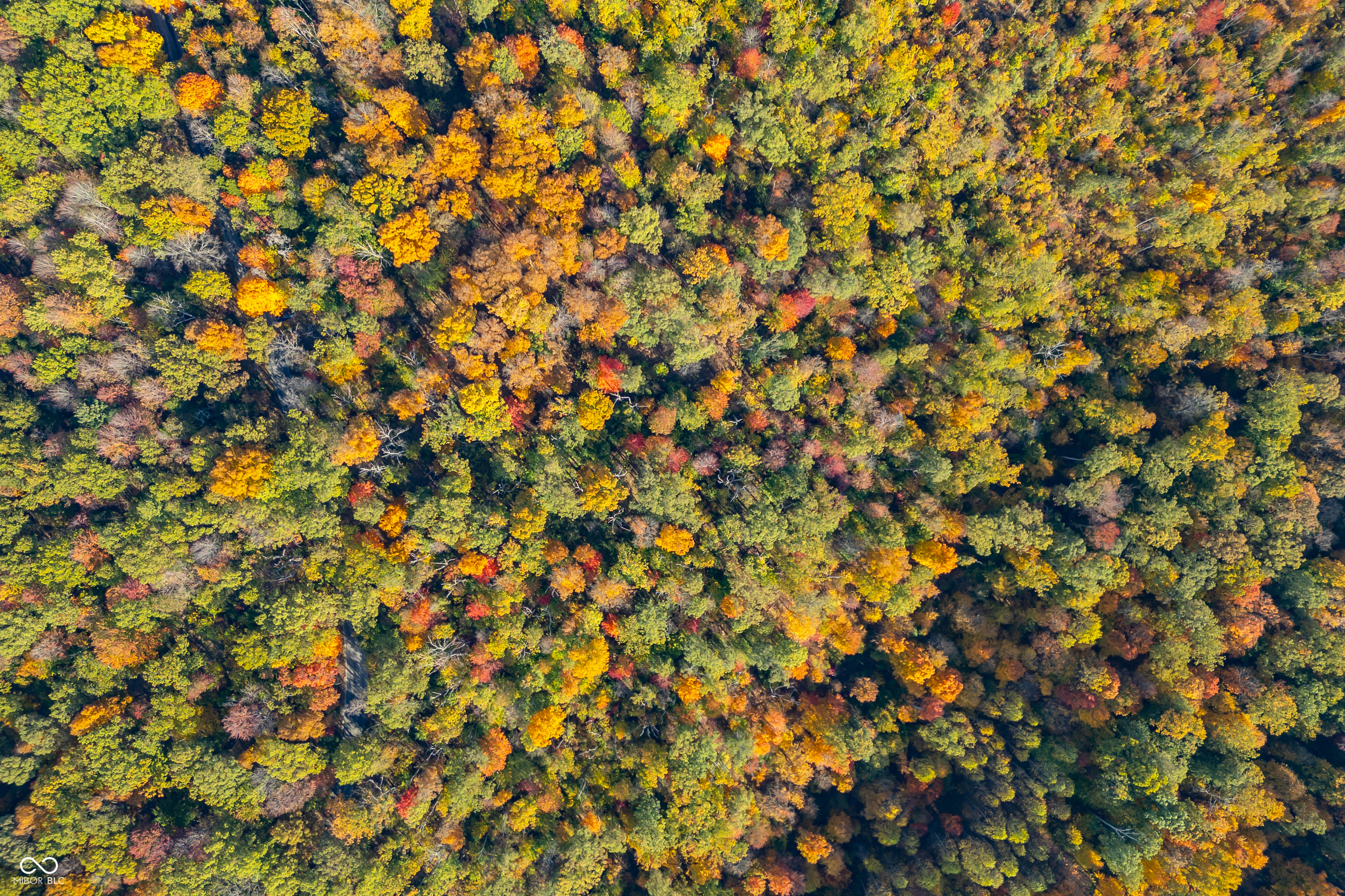 14605 West Becks Grove Road Columbus, IN 47201 - Photo 22 of 33