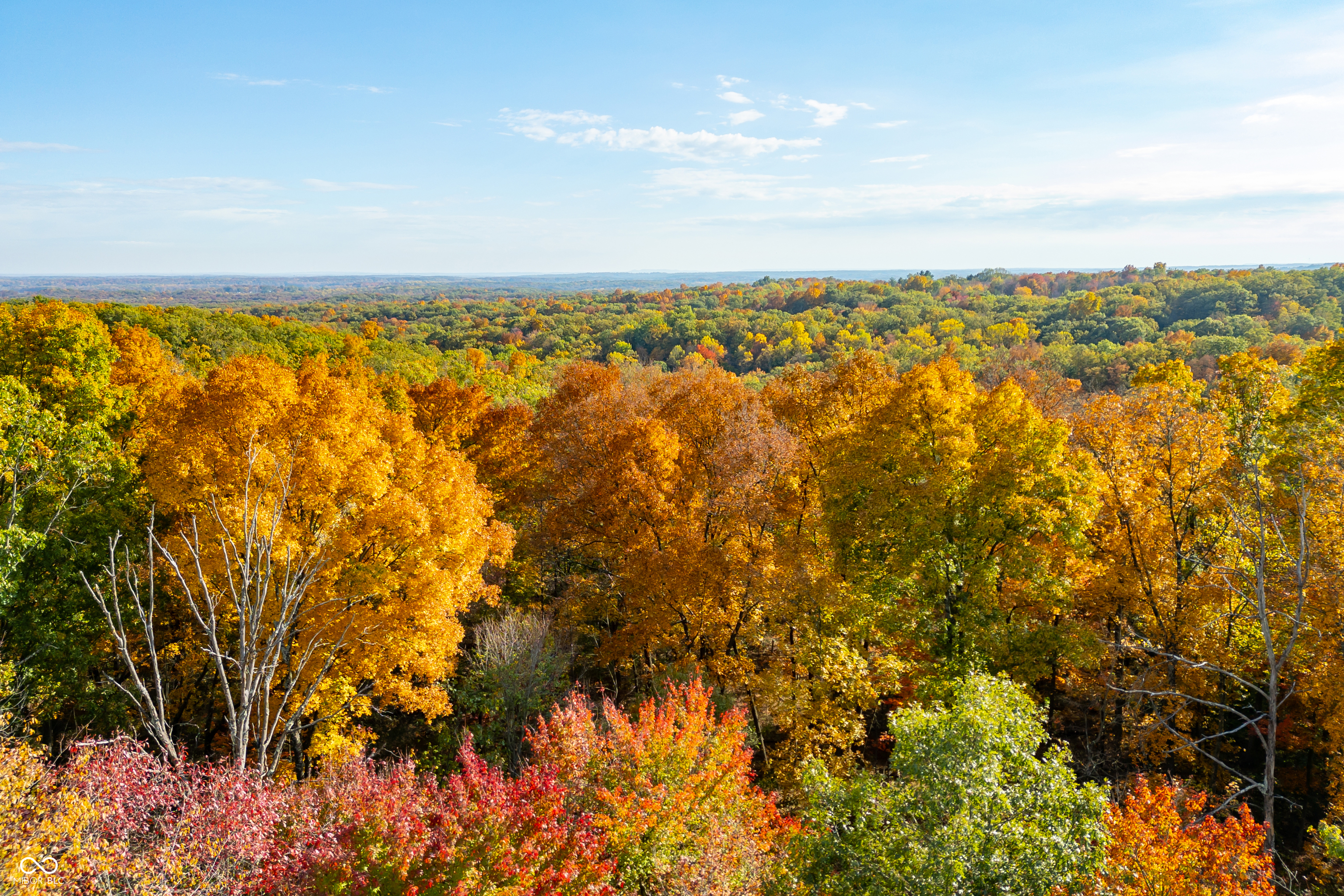 14605 West Becks Grove Road Columbus, IN 47201 - Photo 29 of 33