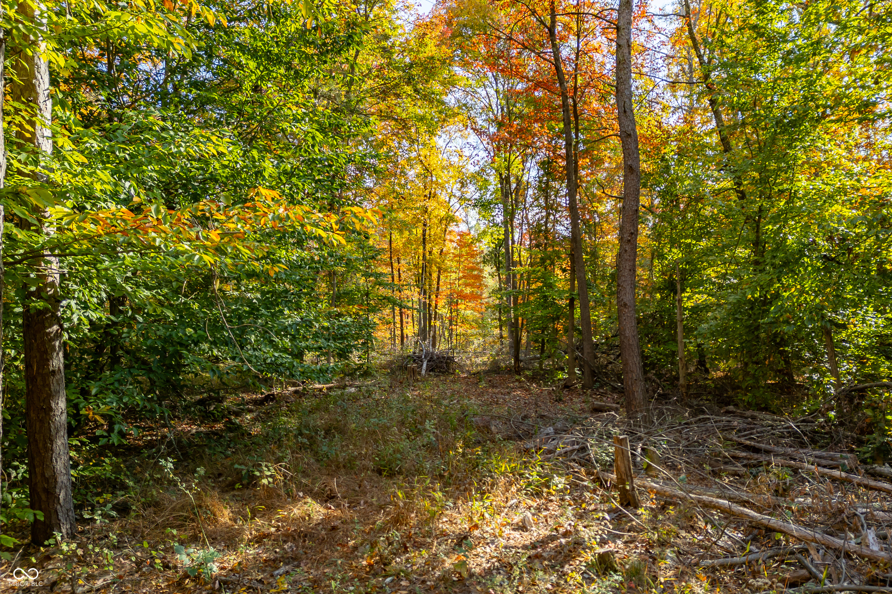 14605 West Becks Grove Road Columbus, IN 47201 - Photo 30 of 33