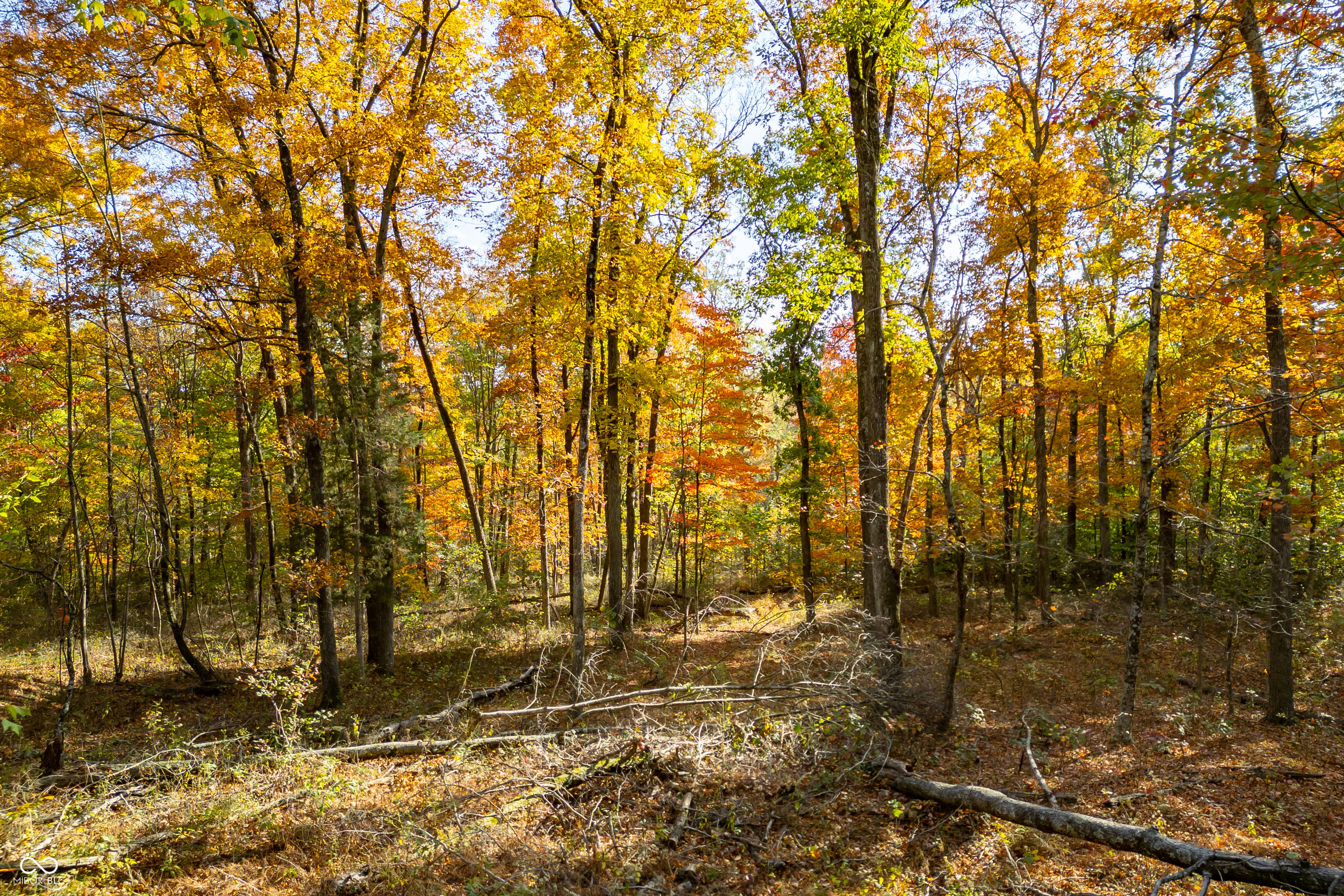 14605 West Becks Grove Road Columbus, IN 47201 - Photo 31 of 33