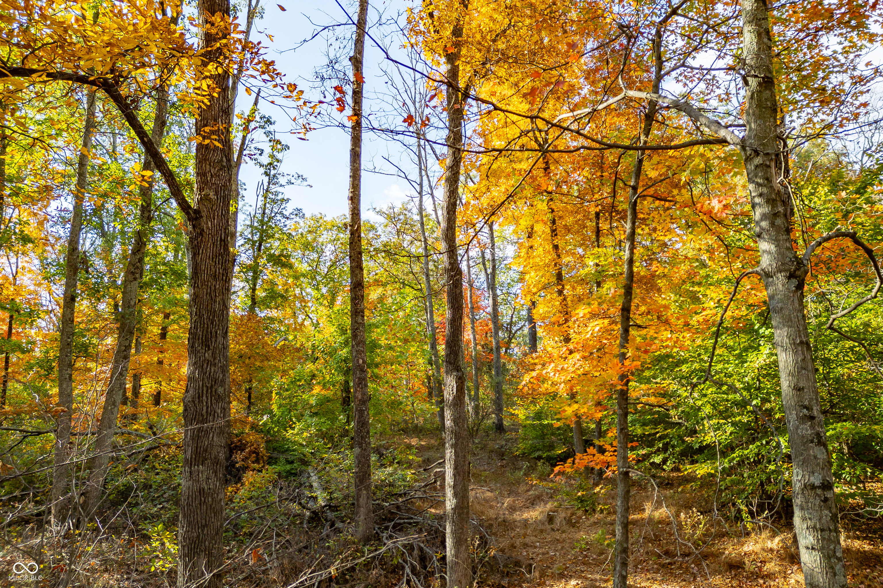 14605 West Becks Grove Road Columbus, IN 47201 - Photo 32 of 33