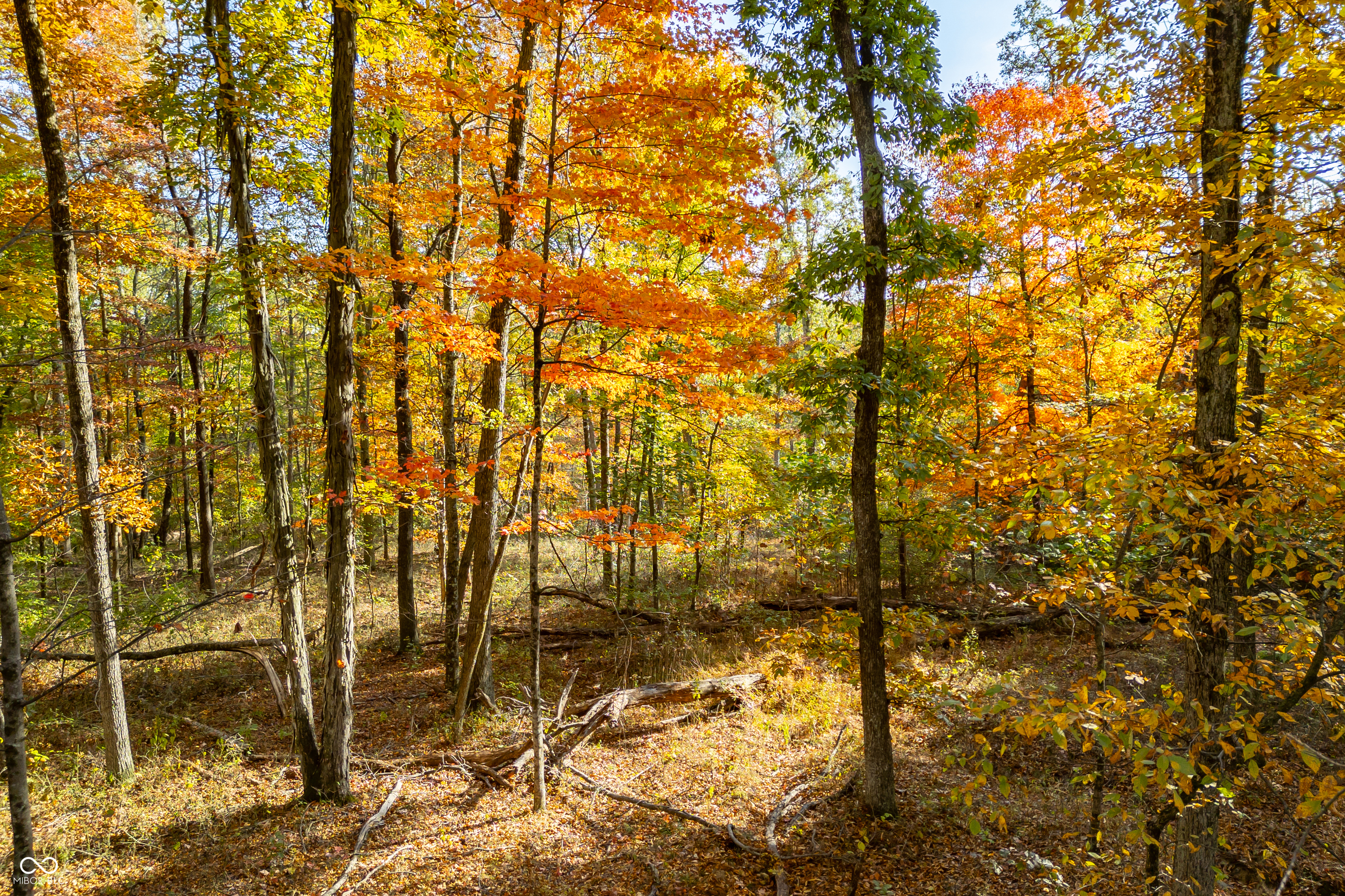 14605 West Becks Grove Road Columbus, IN 47201 - Photo 33 of 33