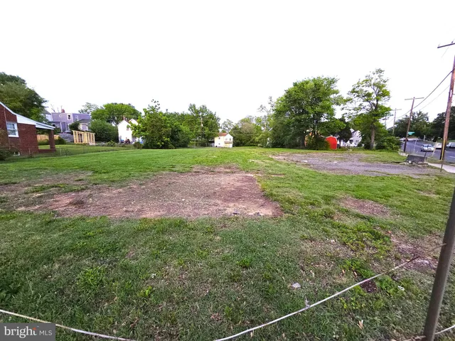 a view of a park with large trees