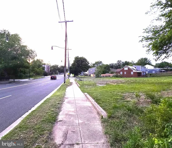 a view of park with large trees