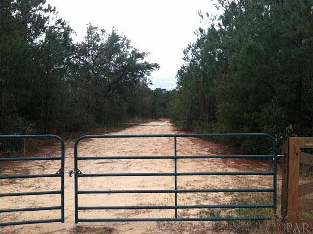 11510 West Bay Road Foley, AL 36535 - Photo 3 of 6