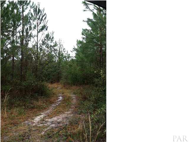 11510 West Bay Road Foley, AL 36535 - Photo 4 of 6