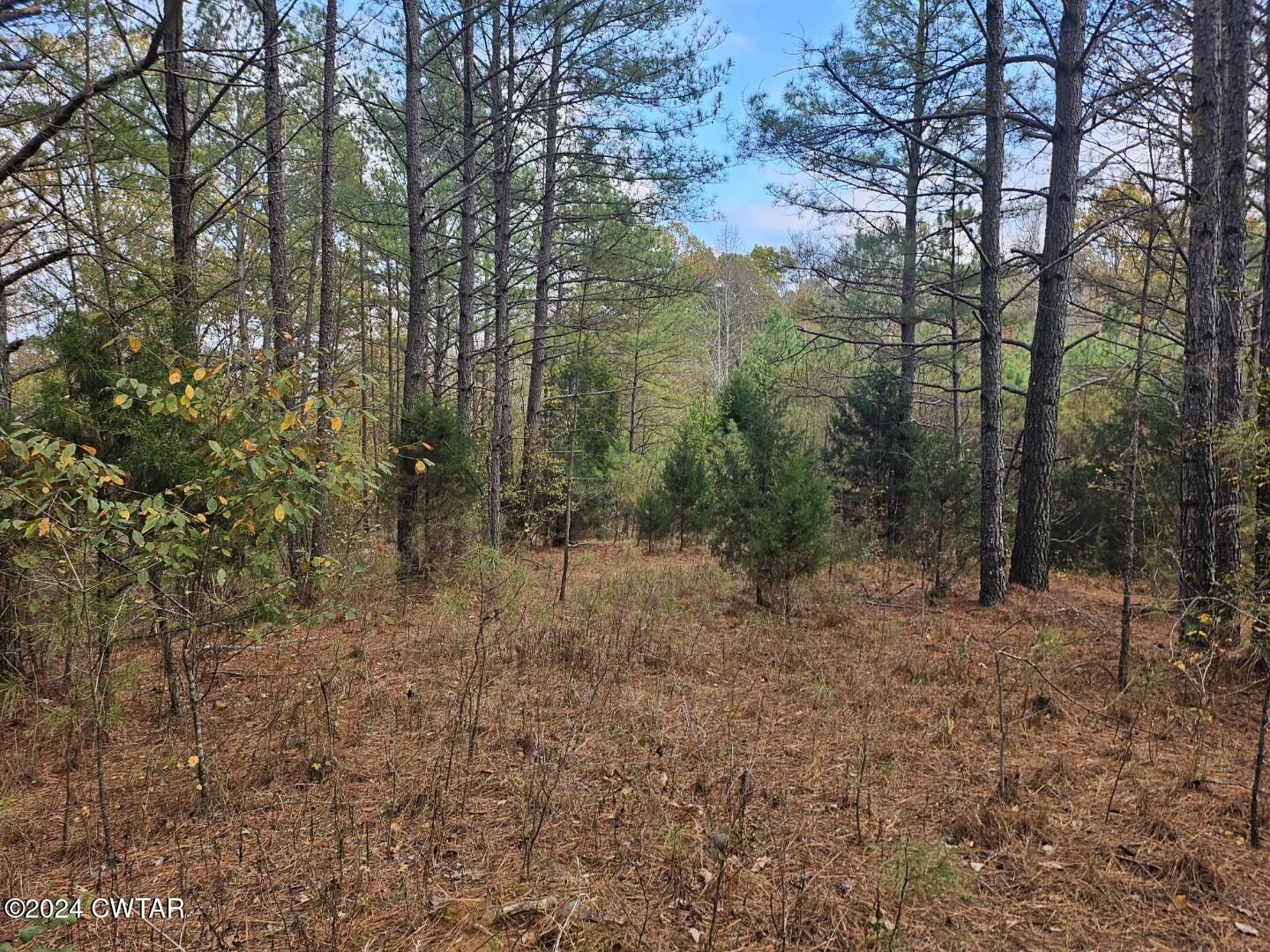 2635 Republican Grove Road Atwood, TN 38220 - Photo 21 of 25 Resized_20241122_155408_1732314052062