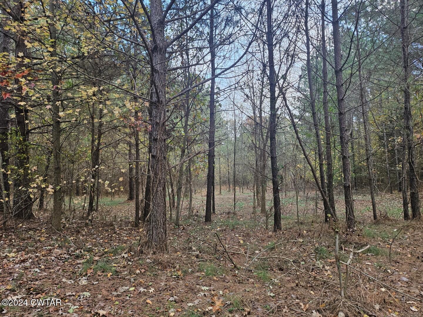 2635 Republican Grove Road Atwood, TN 38220 - Photo 24 of 25 Resized_20241122_155028_1732314024059