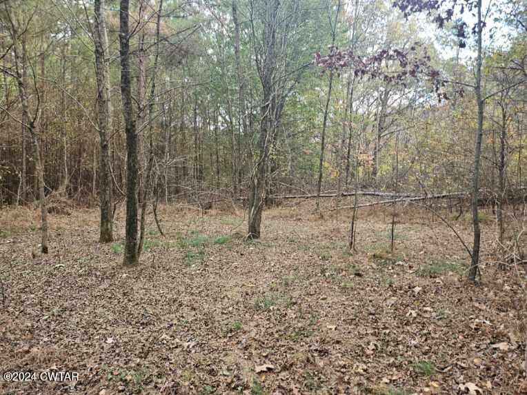2635 Republican Grove Road Atwood, TN 38220 - Photo 25 of 25 Resized_20241122_155258_1732314026058