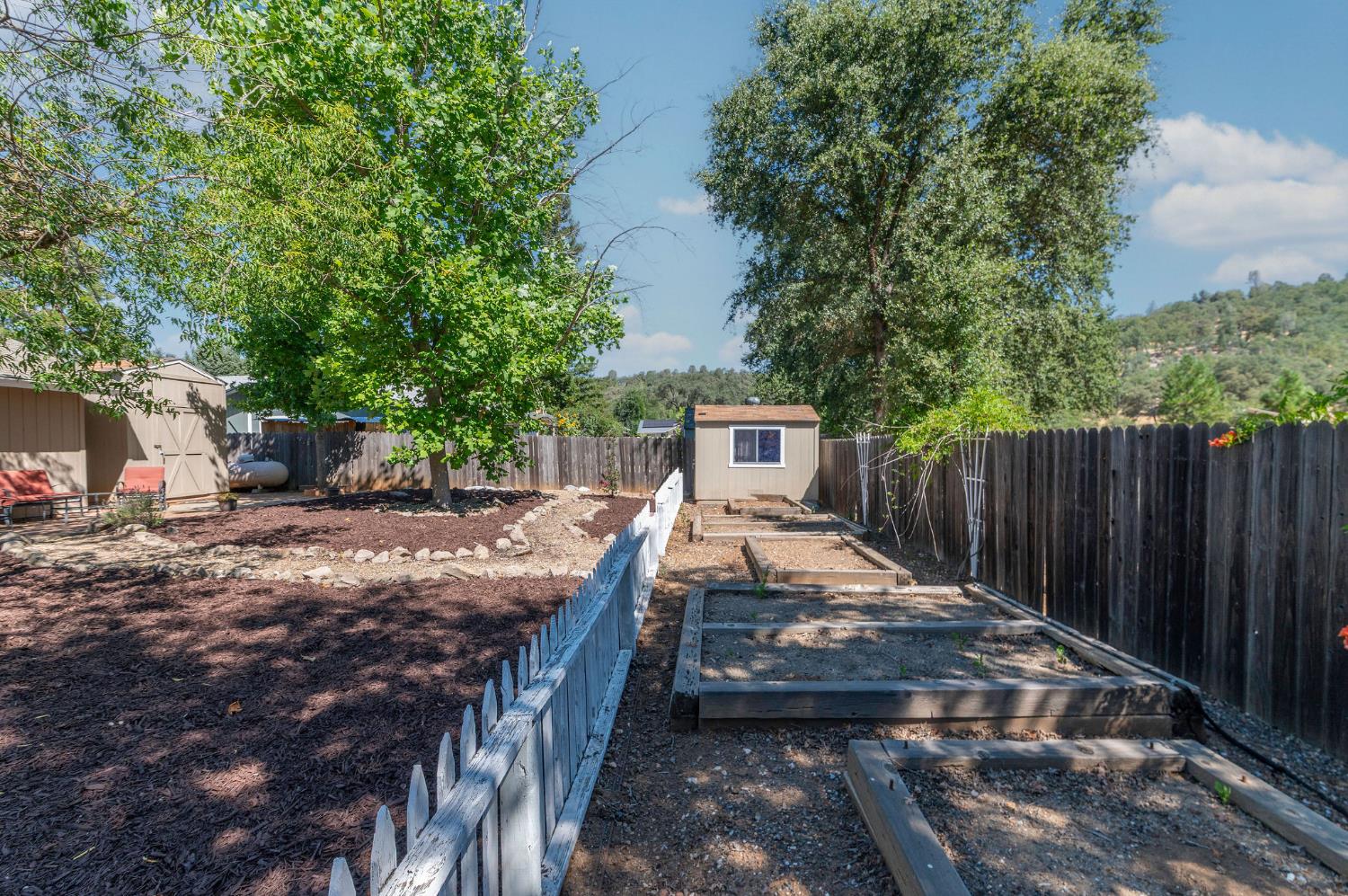 646 Rocky Hill Road Murphys, CA 95247 - Photo 54 of 71