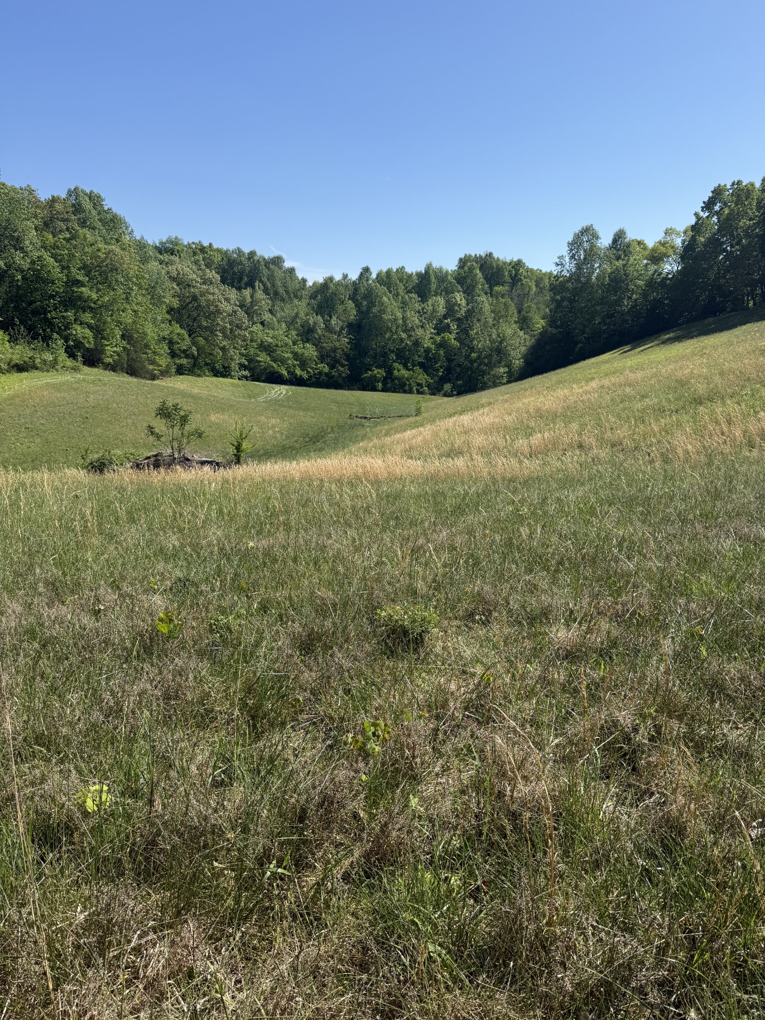 540 Powell Hollow Road Tullahoma, TN 37388 - Photo 94 of 99 Gallery Image 94