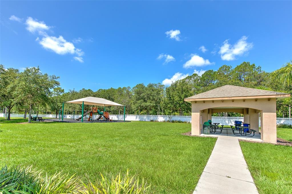 4812 Walnut Ridge Road Land O' Lakes, FL 34638 - Photo 70 of 74 Gallery Image 70