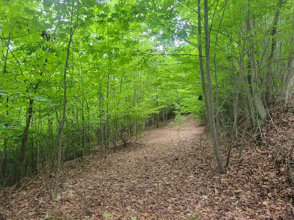 $39,900 | Lot 25 Double Knob Drive, Hayesville, NC 28904