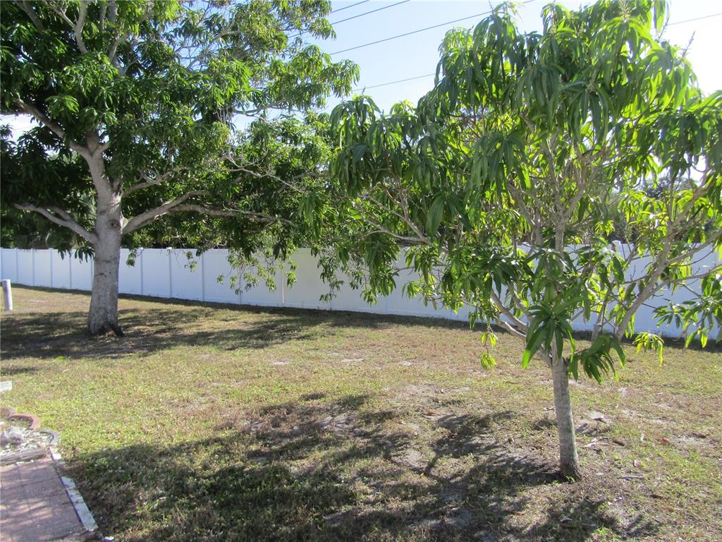 721 Roma Road Venice, FL 34285 - Photo 13 of 20 a view of a yard with a tree