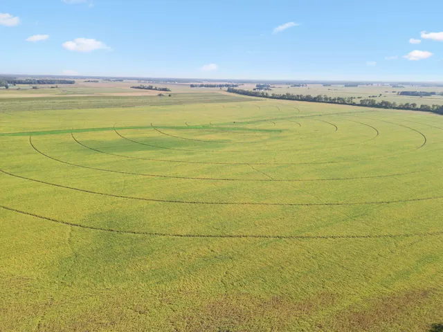 a view of an ocean and beach