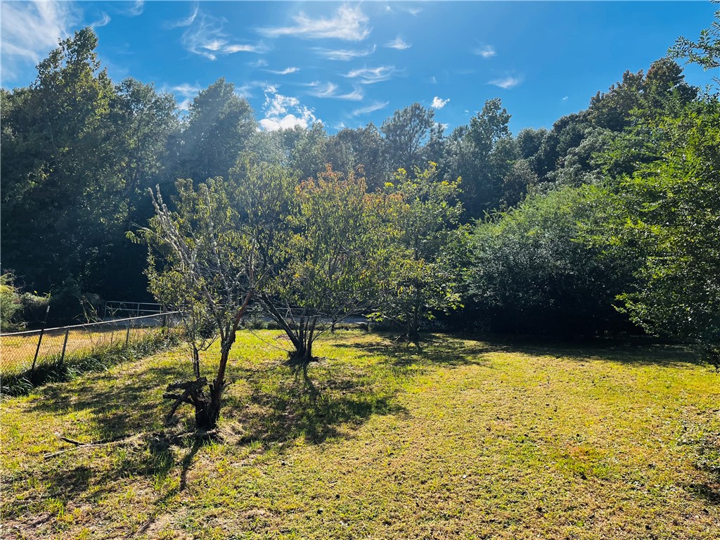 123 Terrace Lane Anderson, SC 29621 - Photo 19 of 19 Fenced Garden