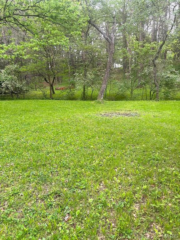 Xxx Maple Grove Road Edwardsville, IL 62025 - Photo 11 of 18