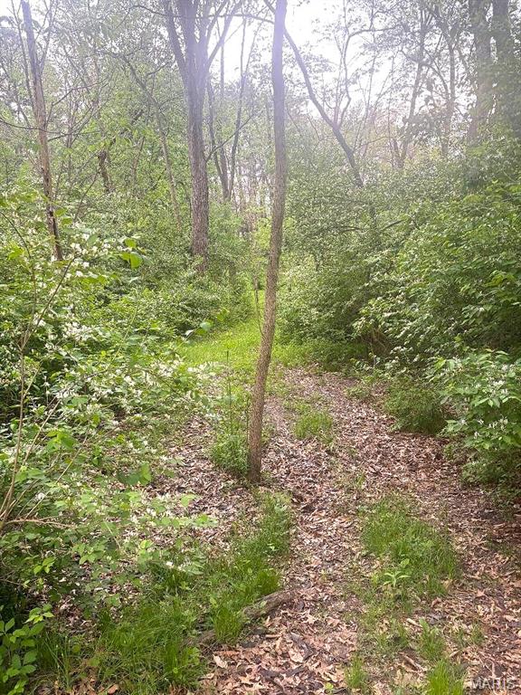 Xxx Maple Grove Road Edwardsville, IL 62025 - Photo 12 of 18