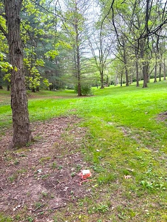 Xxx Maple Grove Road Edwardsville, IL 62025 - Photo 13 of 18