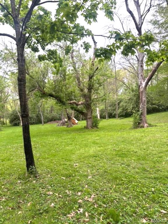 Xxx Maple Grove Road Edwardsville, IL 62025 - Photo 14 of 18