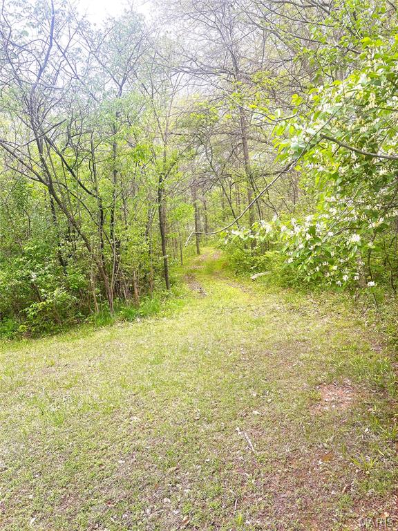 Xxx Maple Grove Road Edwardsville, IL 62025 - Photo 2 of 18