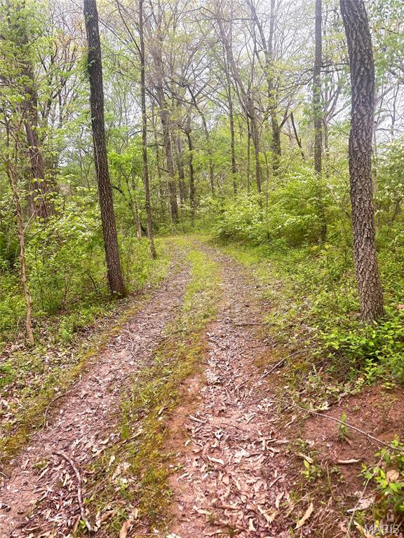 Xxx Maple Grove Road Edwardsville, IL 62025 - Photo 4 of 18