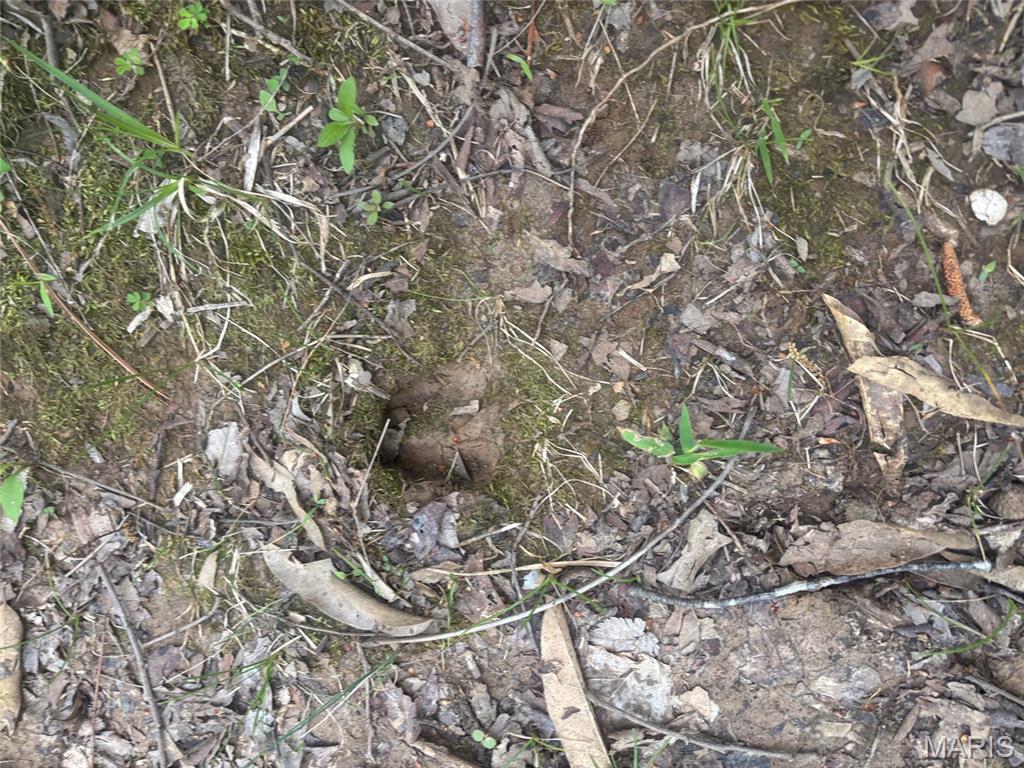 Xxx Maple Grove Road Edwardsville, IL 62025 - Photo 5 of 18