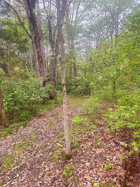 Xxx Maple Grove Road Edwardsville, IL 62025 - Photo 6 of 18