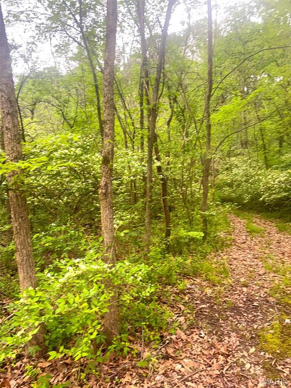 Xxx Maple Grove Road Edwardsville, IL 62025 - Photo 7 of 18