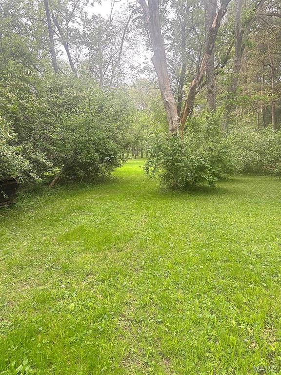 Xxx Maple Grove Road Edwardsville, IL 62025 - Photo 9 of 18