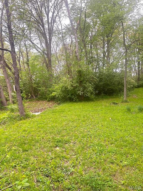 Xxx Maple Grove Road Edwardsville, IL 62025 - Photo 10 of 18