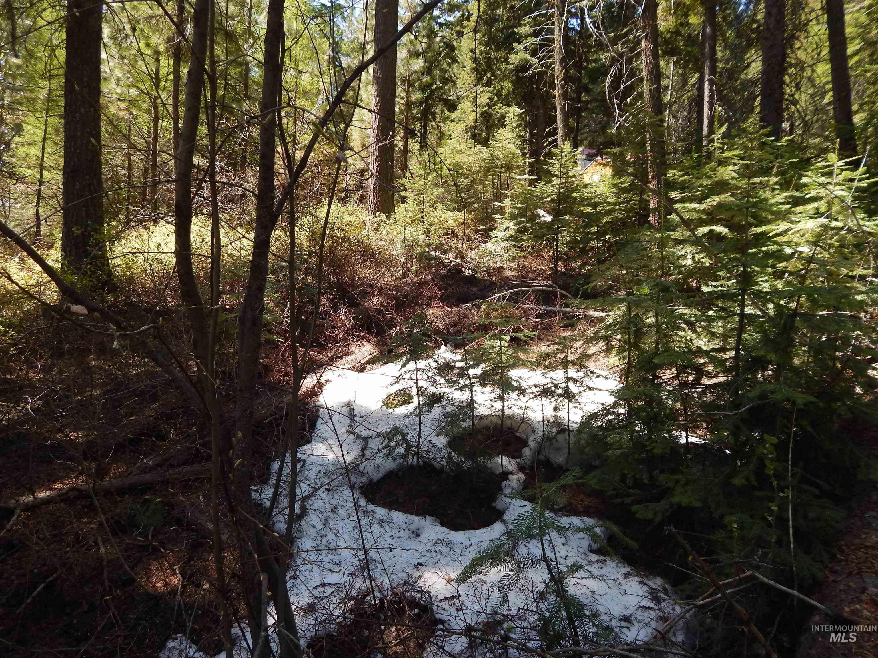 1601 Bear Trail Loop Cascade, ID 83611 - Photo 17 of 26