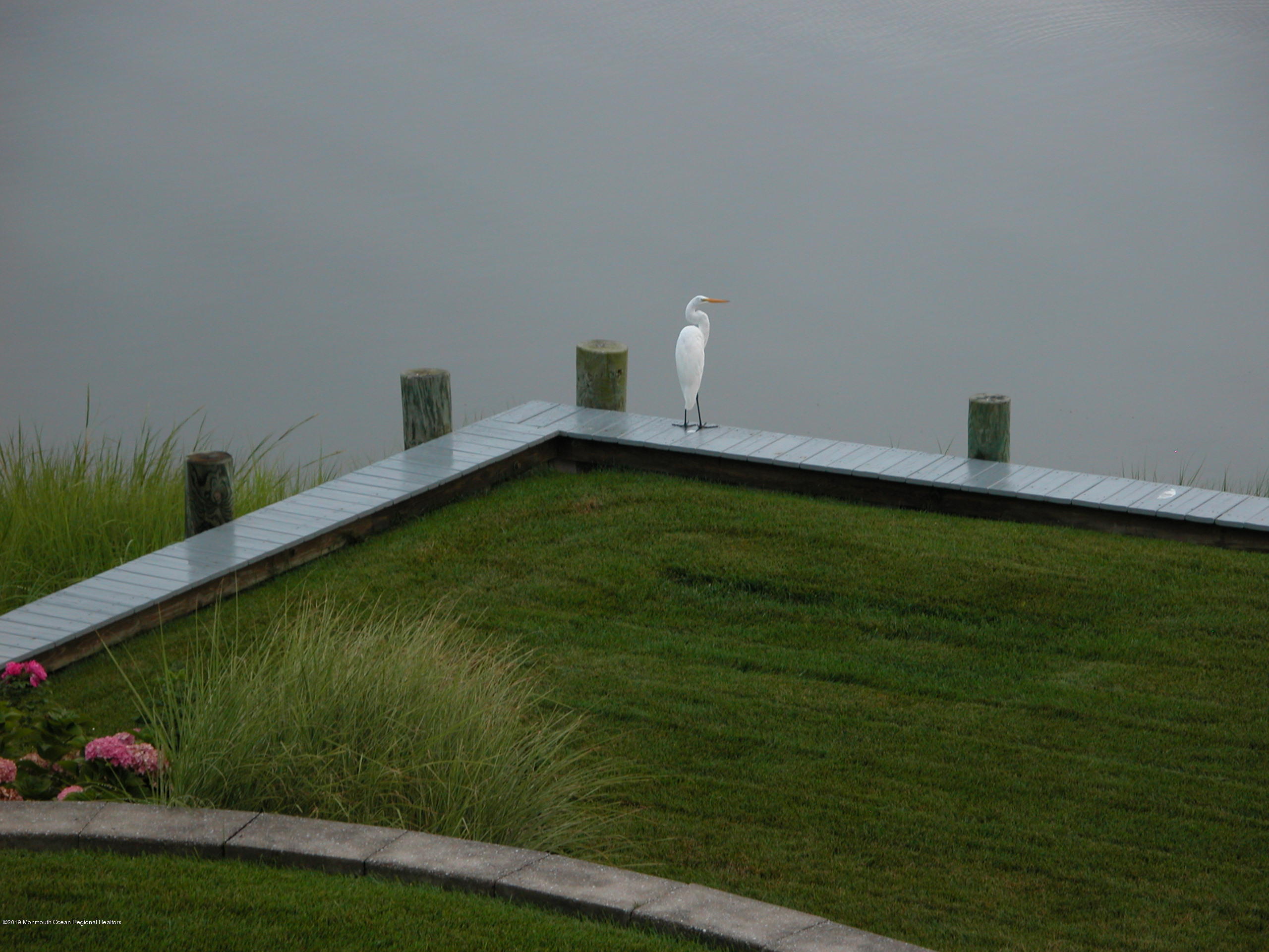 1620 Marconi Road Wall, NJ 07719 - Photo 7 of 55 Egrets 005