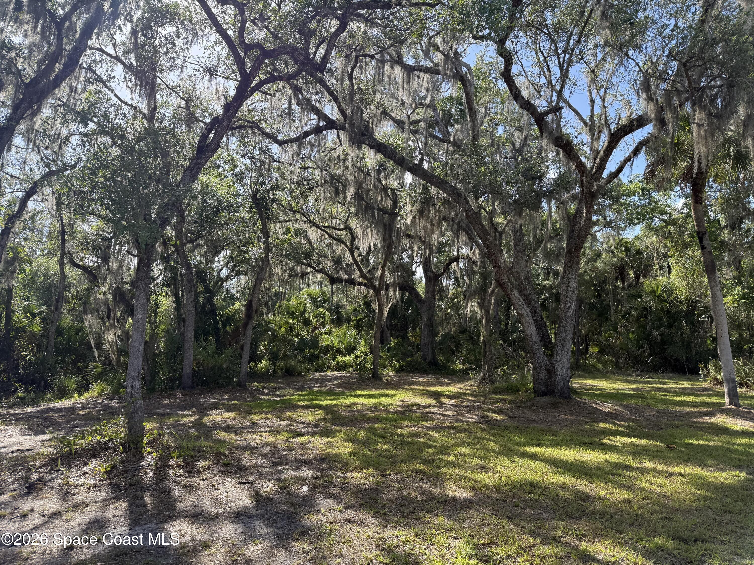 9175 Freedom Road Mims, FL 32754 - Photo 34 of 34 IMG_1478